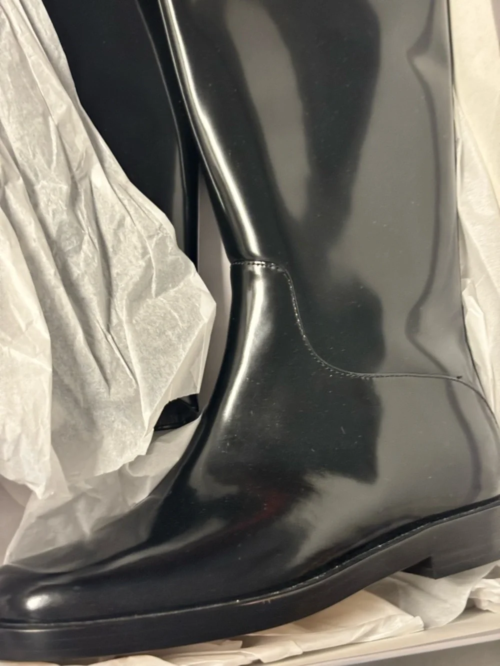 NEW Everlane Fall Classic The Riding Boot Black Patent